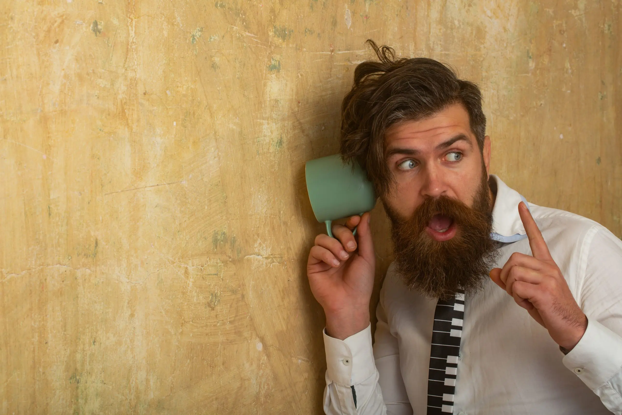 faq - How do you tell if wasps are in your walls? - Birch