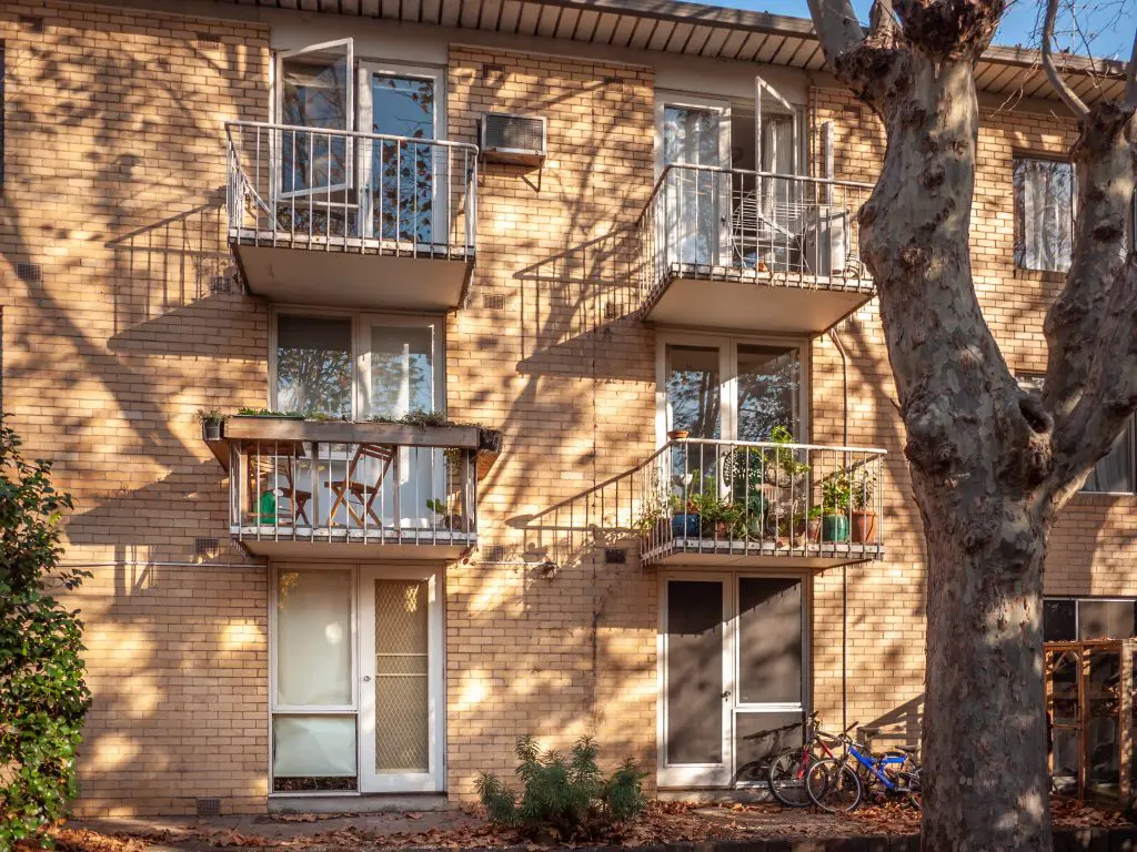 How to Deal with a Mouse Infestation in Your Apartment Building