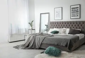 The Three Types of Bed Bugs Found in Canada