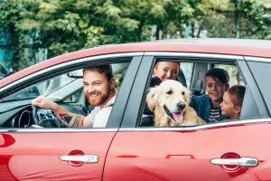 family travelling by car - Birch Fumigators