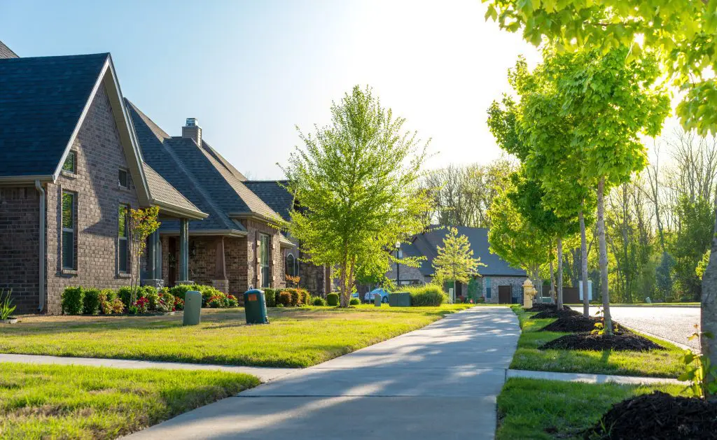 Tree Health and Urban Landscapes: Challenges and Solutions for Healthy Trees in Cities