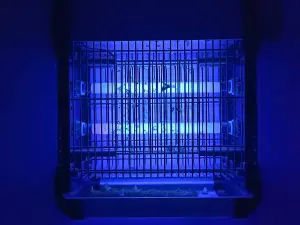 Mosquito Zapper Reviews: Best 5 Mosquito Zappers