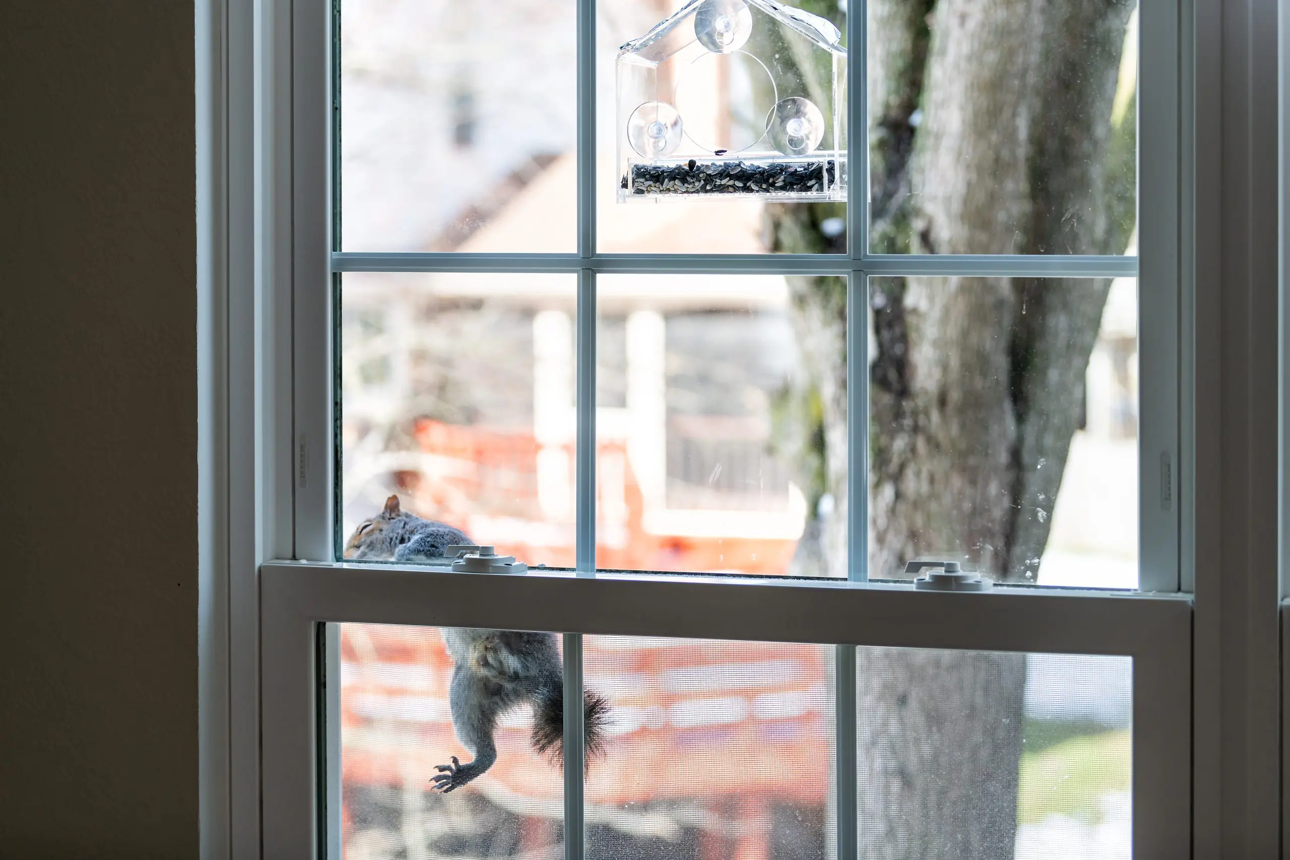 Are there any specific winter pest prevention measures for the kitchen?