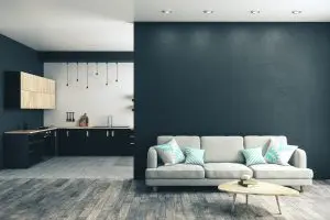 How Can I Distinguish Cluster Flies from Other House Flies?