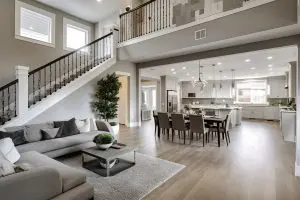 What should I do if I encounter a skunk on my property