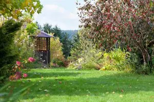 What are yellow jacket wasps, and why are they a problem?