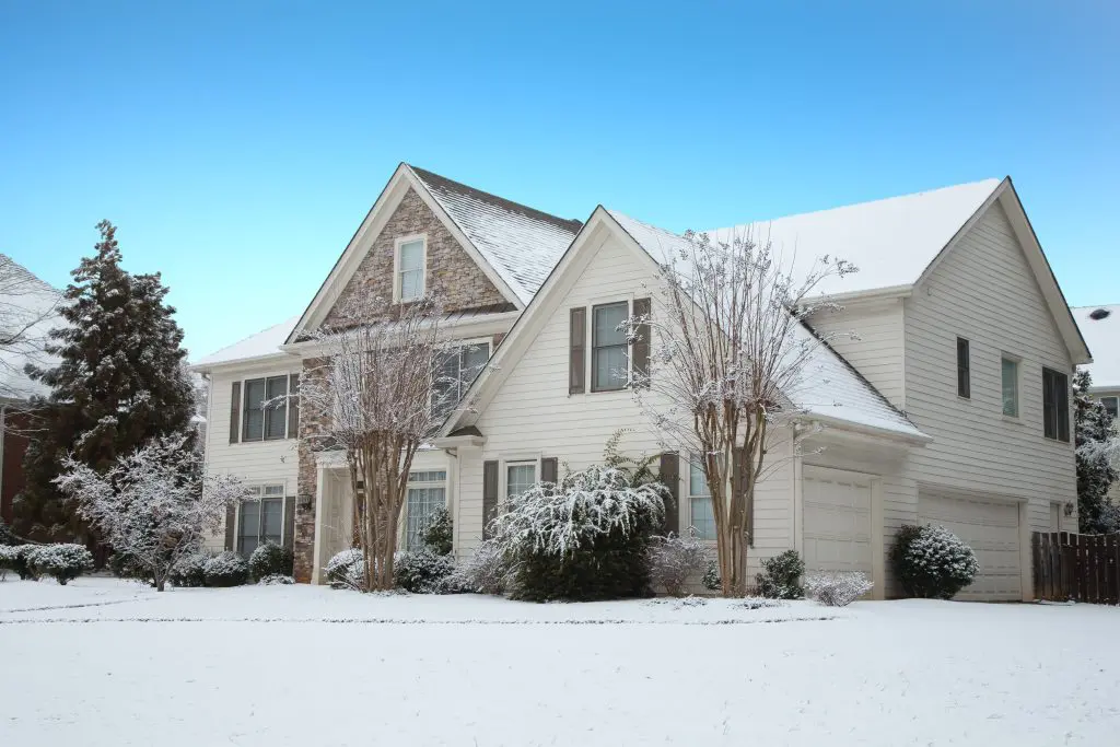 Winter Pest Watch Why Pests Don’t Hibernate Like You Think