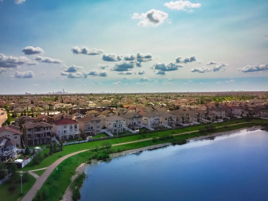 Common Entry Points for Mice in Edmonton Homes