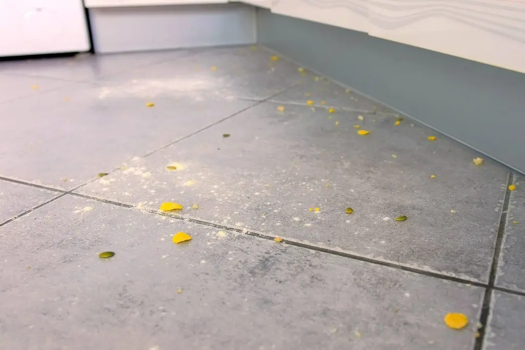 Cockroach Problems in Edmonton Homes