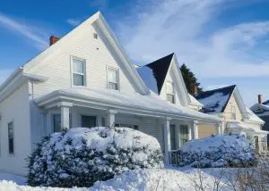 Why Edmonton Homes See More Mice in Winter