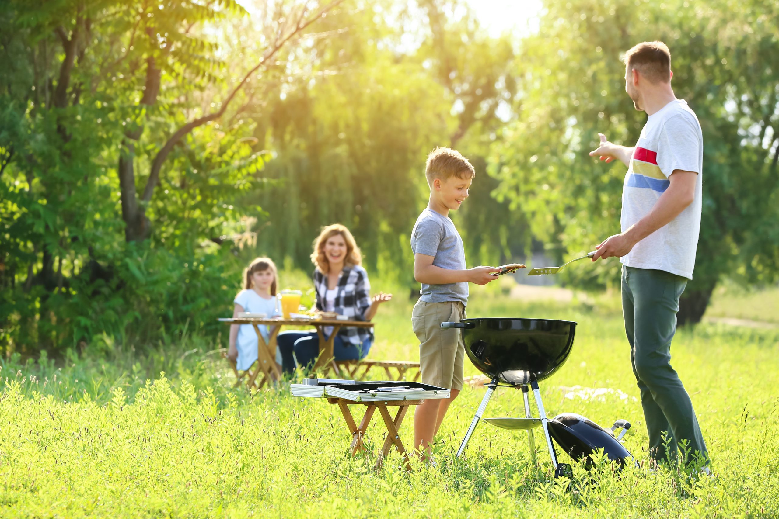 General Pest Program Regular Scheduled Pest Control Services Birch Fumigators