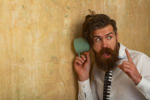 faq - How do you tell if wasps are in your walls? - Birch