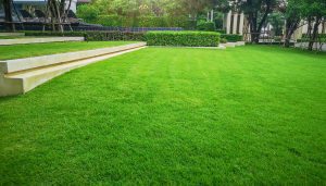 faq - Who do you call for pest control in Leduc?