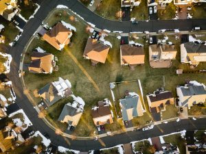 How Long Can Pests Survive in Your Home Without You Noticing?