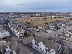 Signs of Squirrels in Your Roof