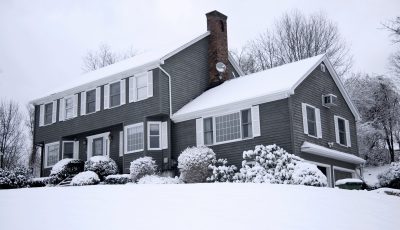 An Increase in Cockroach Infestations in Alberta