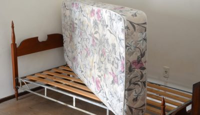 Bed Bugs A Common Pest in Alberta 