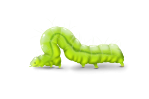 Caterpillars Pest Identification Image