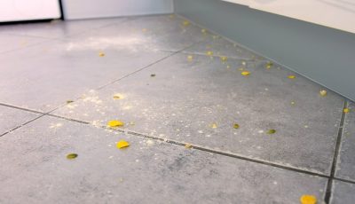 Cockroach Problems in Edmonton Homes