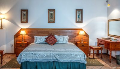 Getting Rid of Bed Bugs