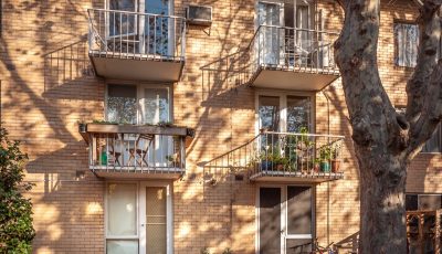 How to Deal with a Mouse Infestation in Your Apartment Building