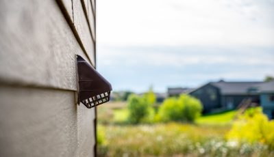 How to Keep Birds from Nesting in Your Vents